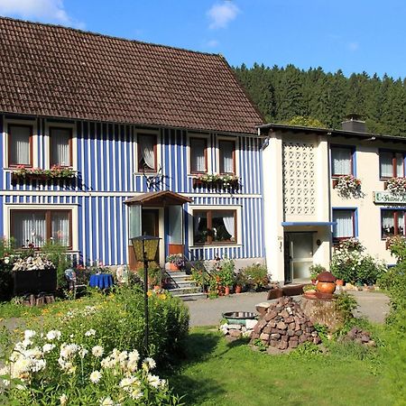 Haus Gruene Insel - Ferienwohnungen Altenau  Kültér fotó