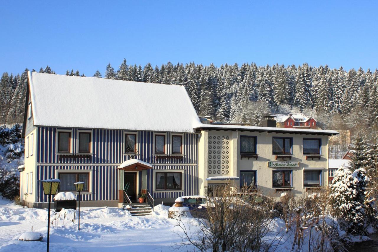 Haus Gruene Insel - Ferienwohnungen Altenau  Kültér fotó