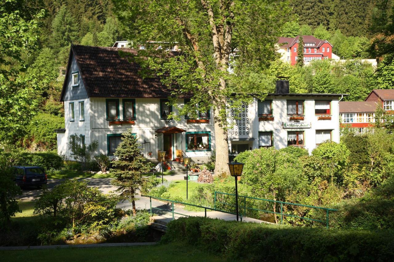 Haus Gruene Insel - Ferienwohnungen Altenau  Kültér fotó