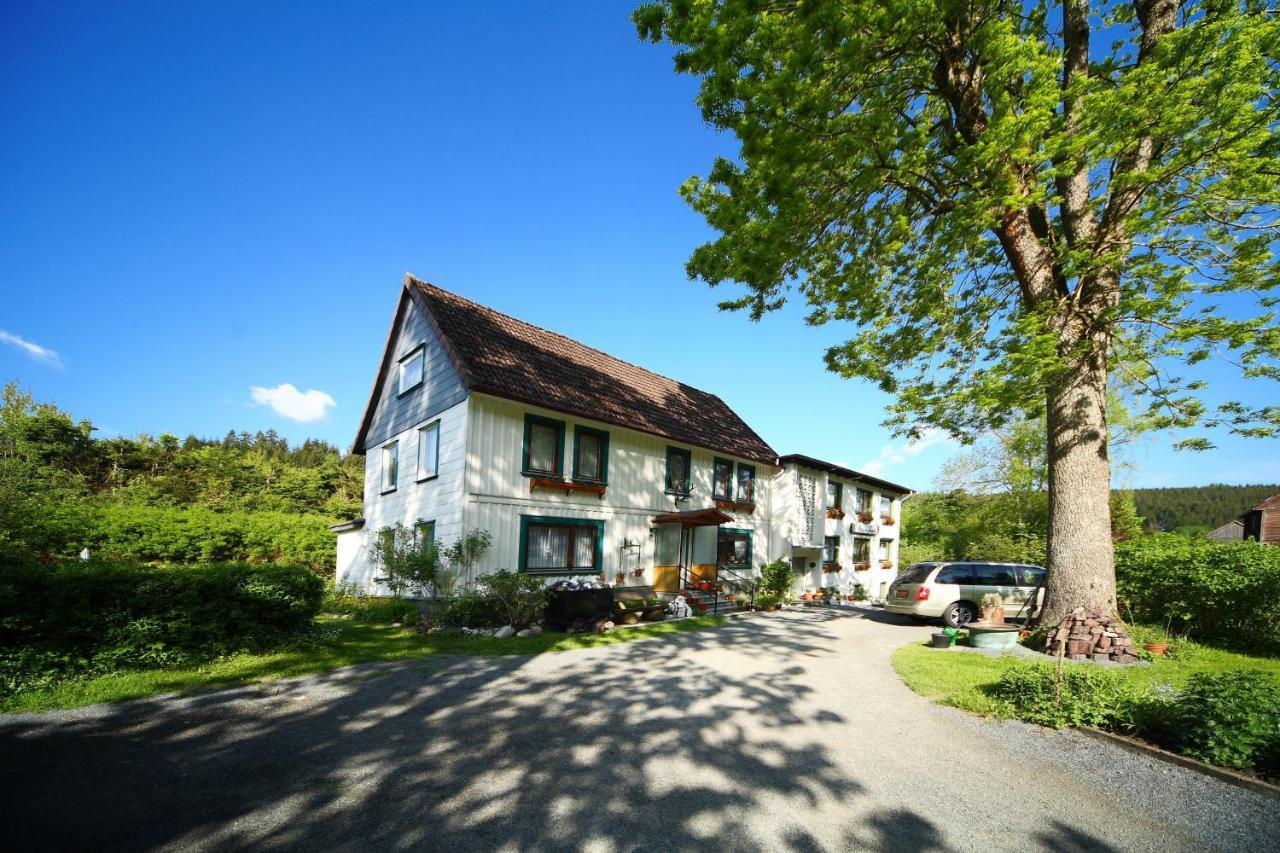 Haus Gruene Insel - Ferienwohnungen Altenau  Kültér fotó