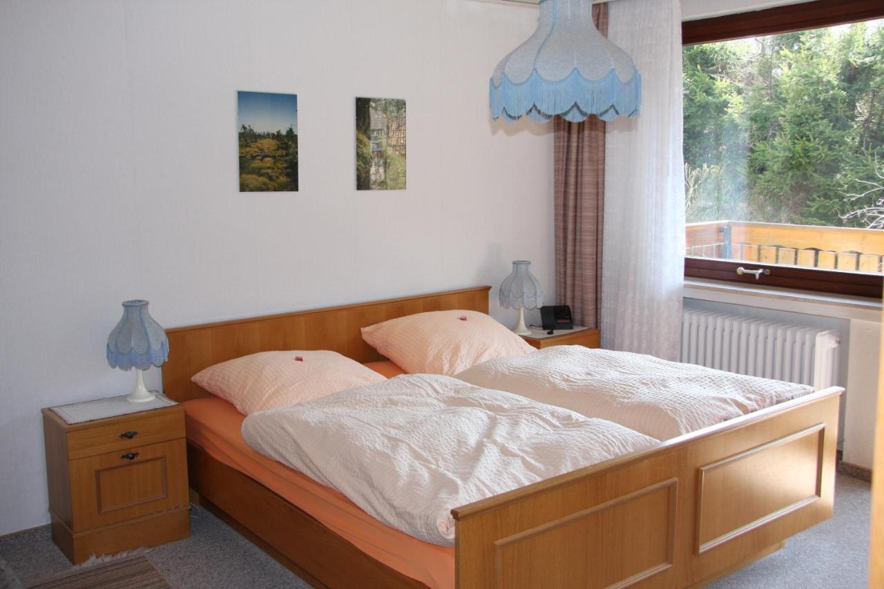 Haus Gruene Insel - Ferienwohnungen Altenau  Kültér fotó
